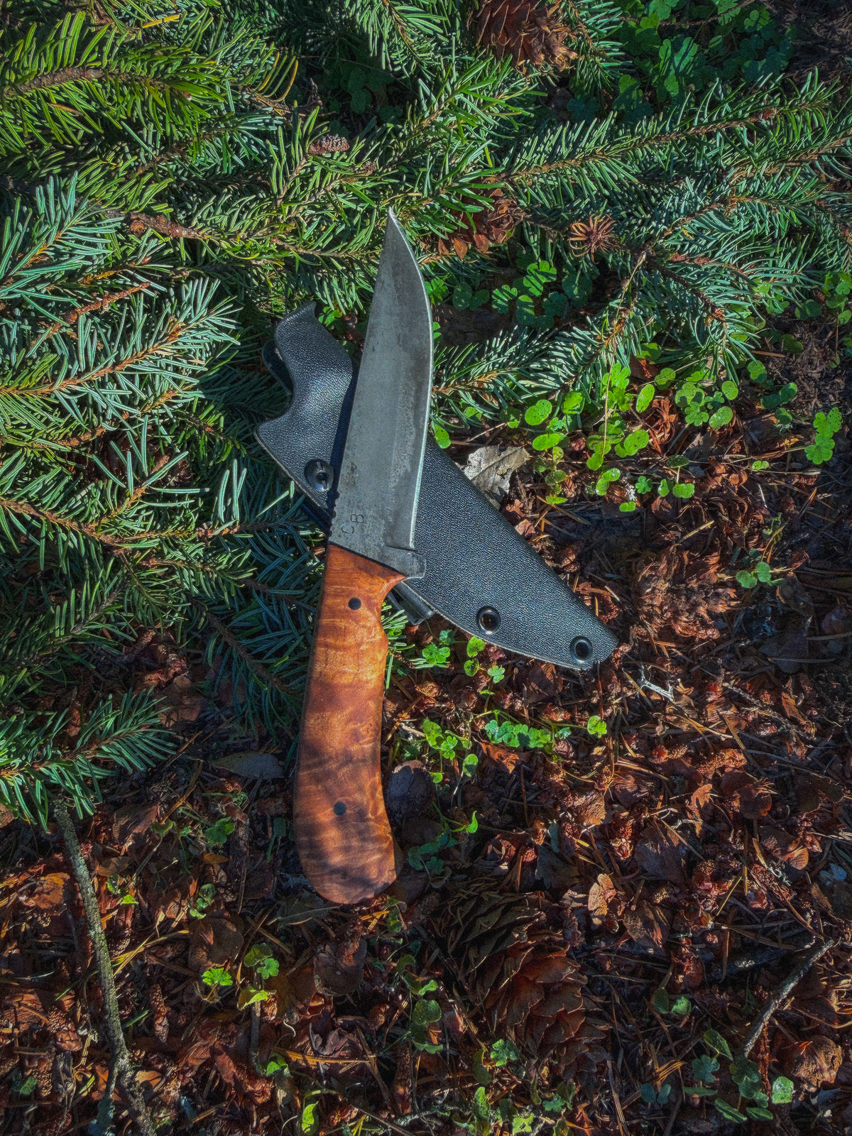 Backcountry - 5” Curly maple, G10 pins, treated blade