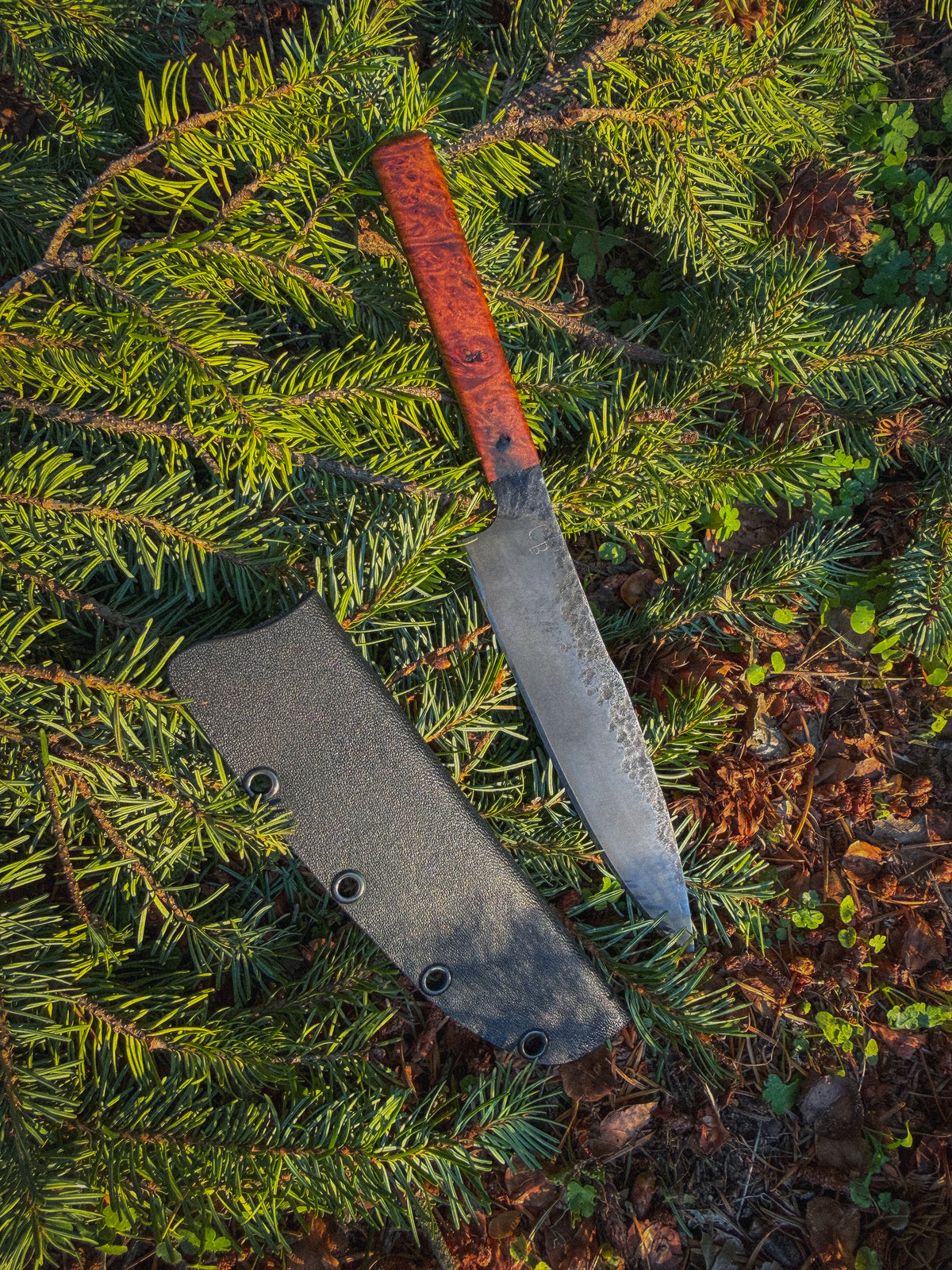 Timberline - 6” Curly maple, G10 pins, Treated blade