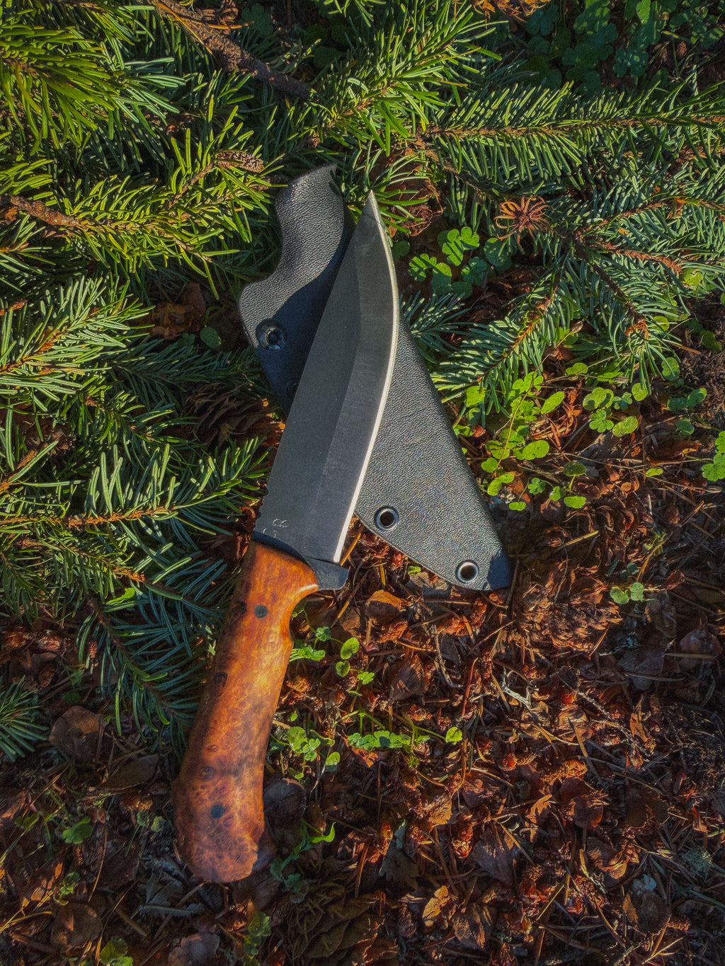 Backcountry - 5” curly maple, G10 pins, treated blade