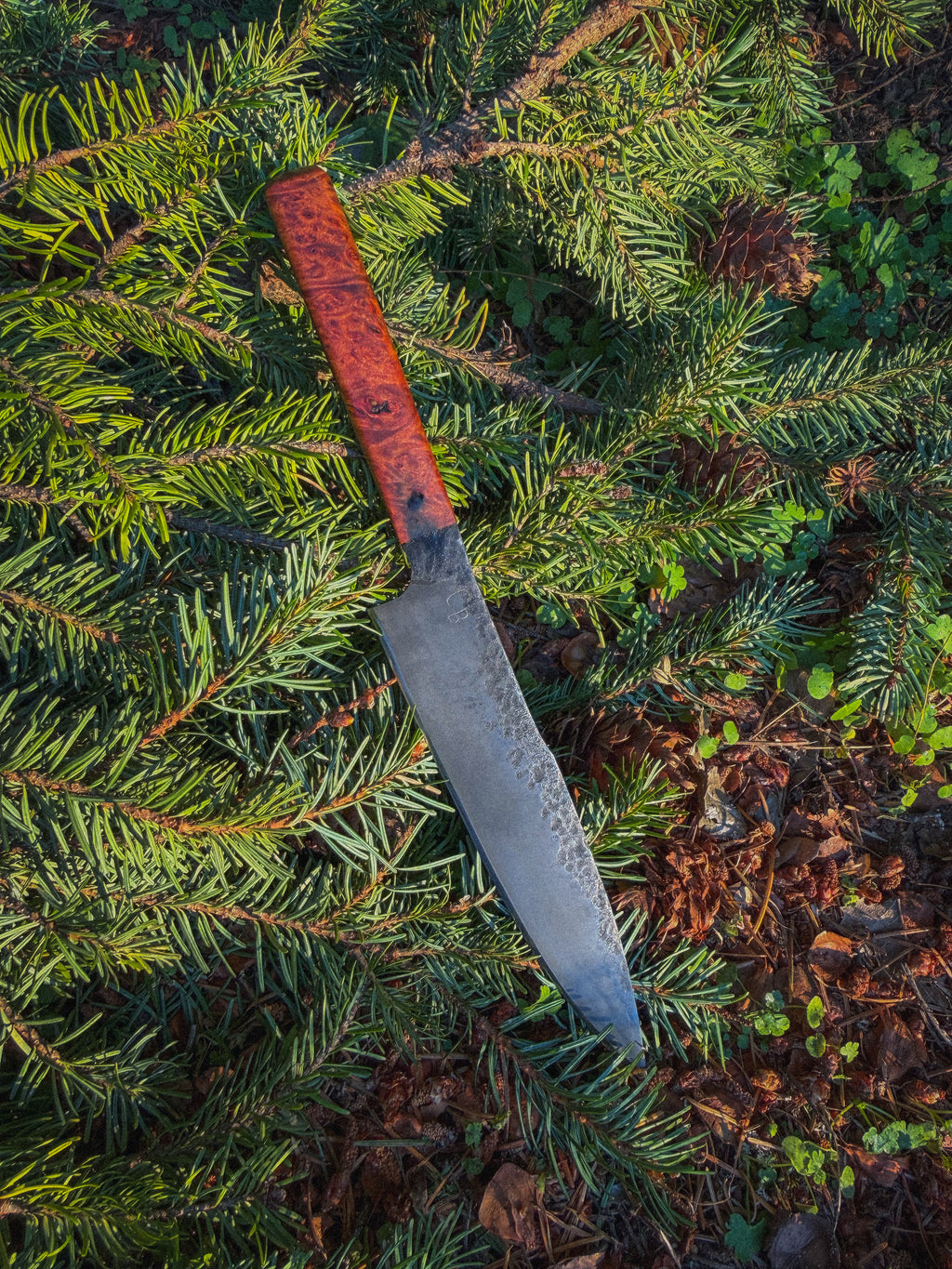 Timberline - 6” Curly maple, G10 pins, Treated blade