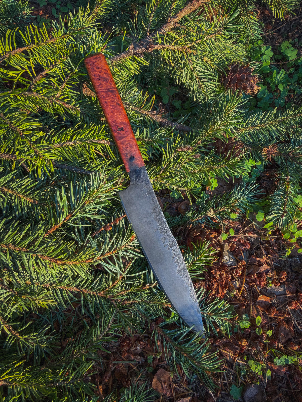 Timberline - 6” Curly maple, G10 pins, Treated blade