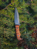 Nightfall - 4.5” curly maple, YFS screws, treated blade