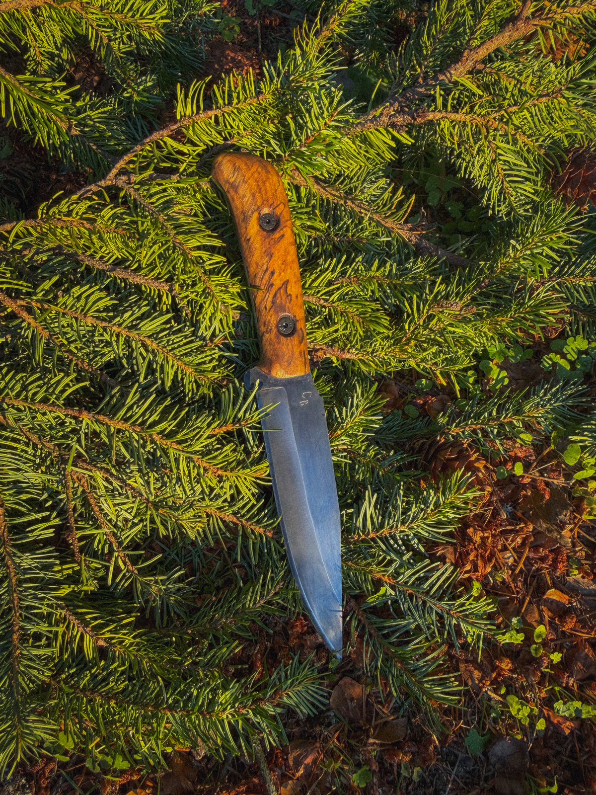 Wildland - 6” Spalted maple handle, YFS screws, treated steel