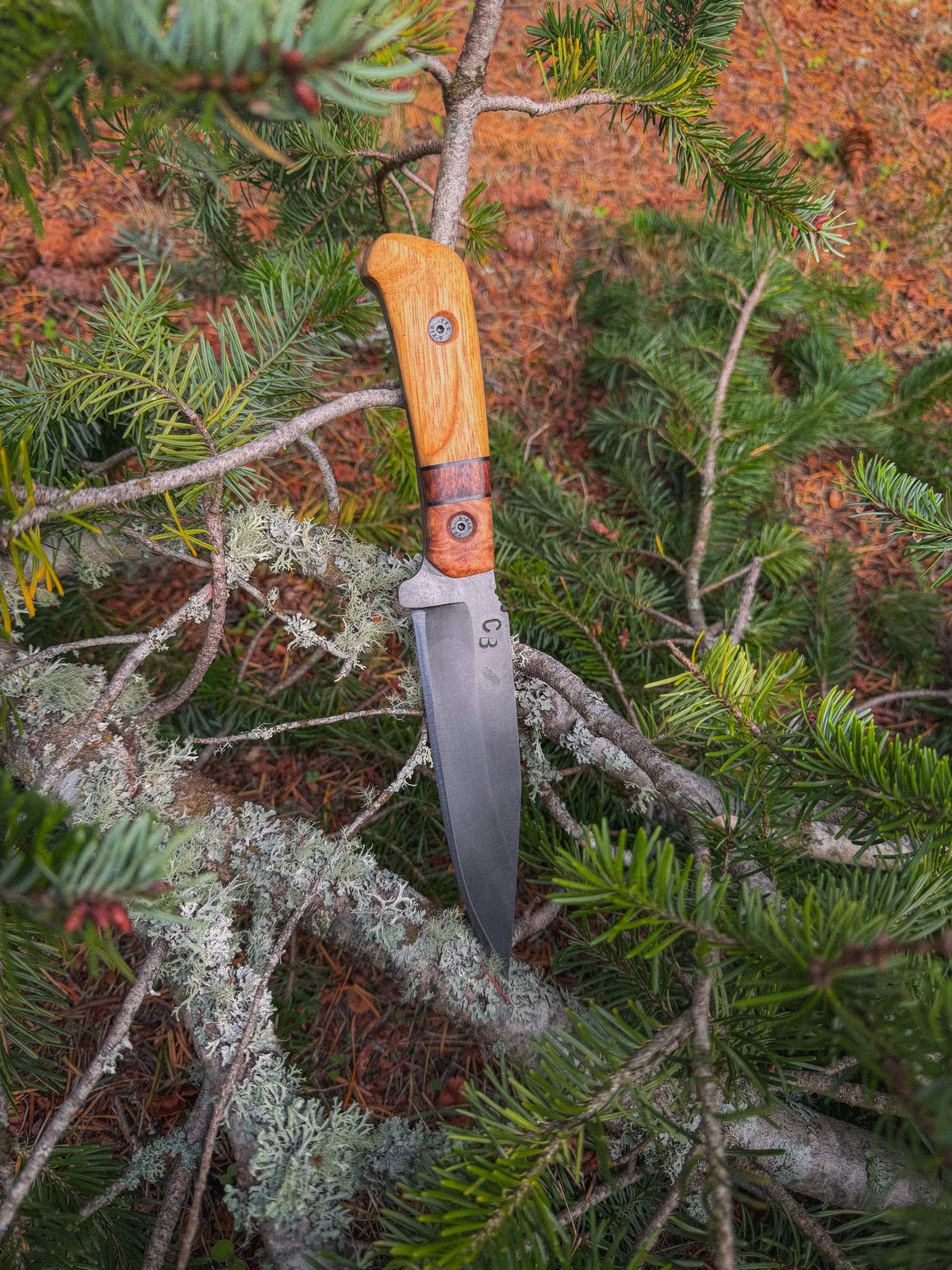 Wildland - 6" Multi piece handle, YFS Screws, Treated Blade